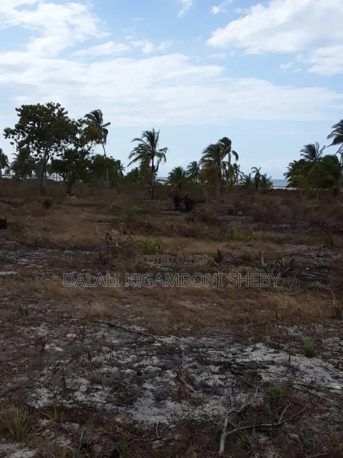 Beach Plot for Sale Location Rufiji