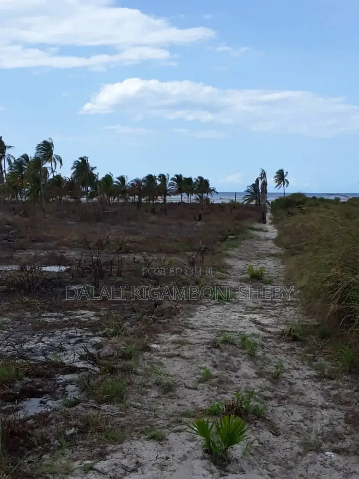 Beach Plot for Sale Location Rufiji
