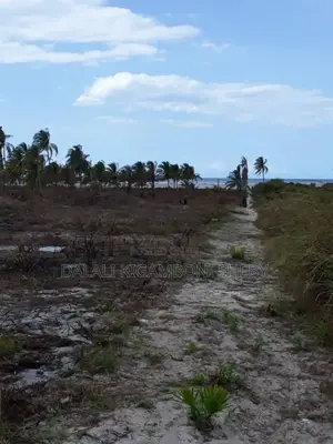 Beach Plot for Sale Location Rufiji
