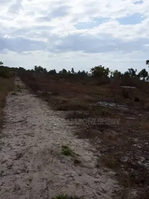 Beach Plot for Sale Location Rufiji