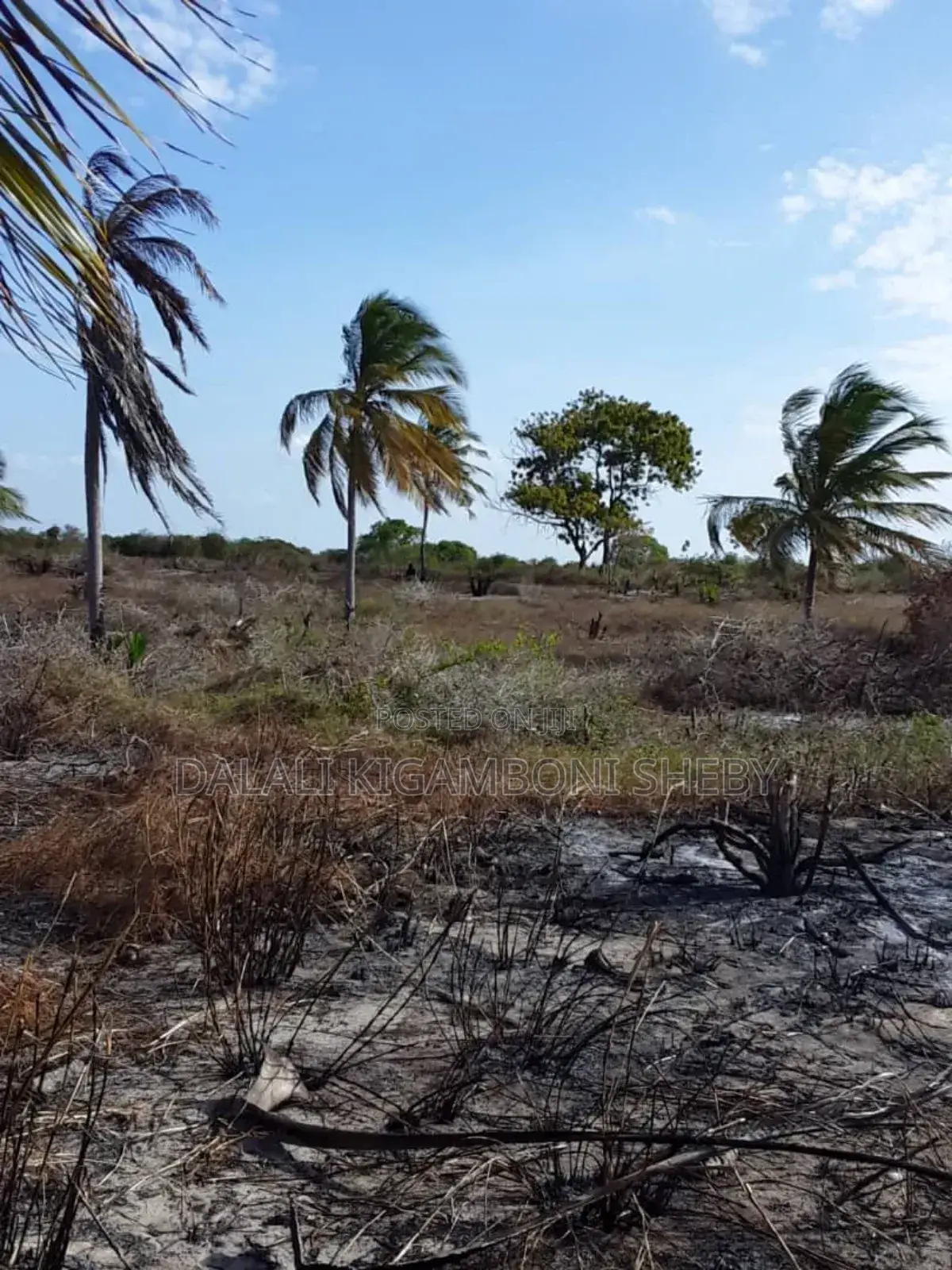 Beach Plot for Sale Location Rufiji