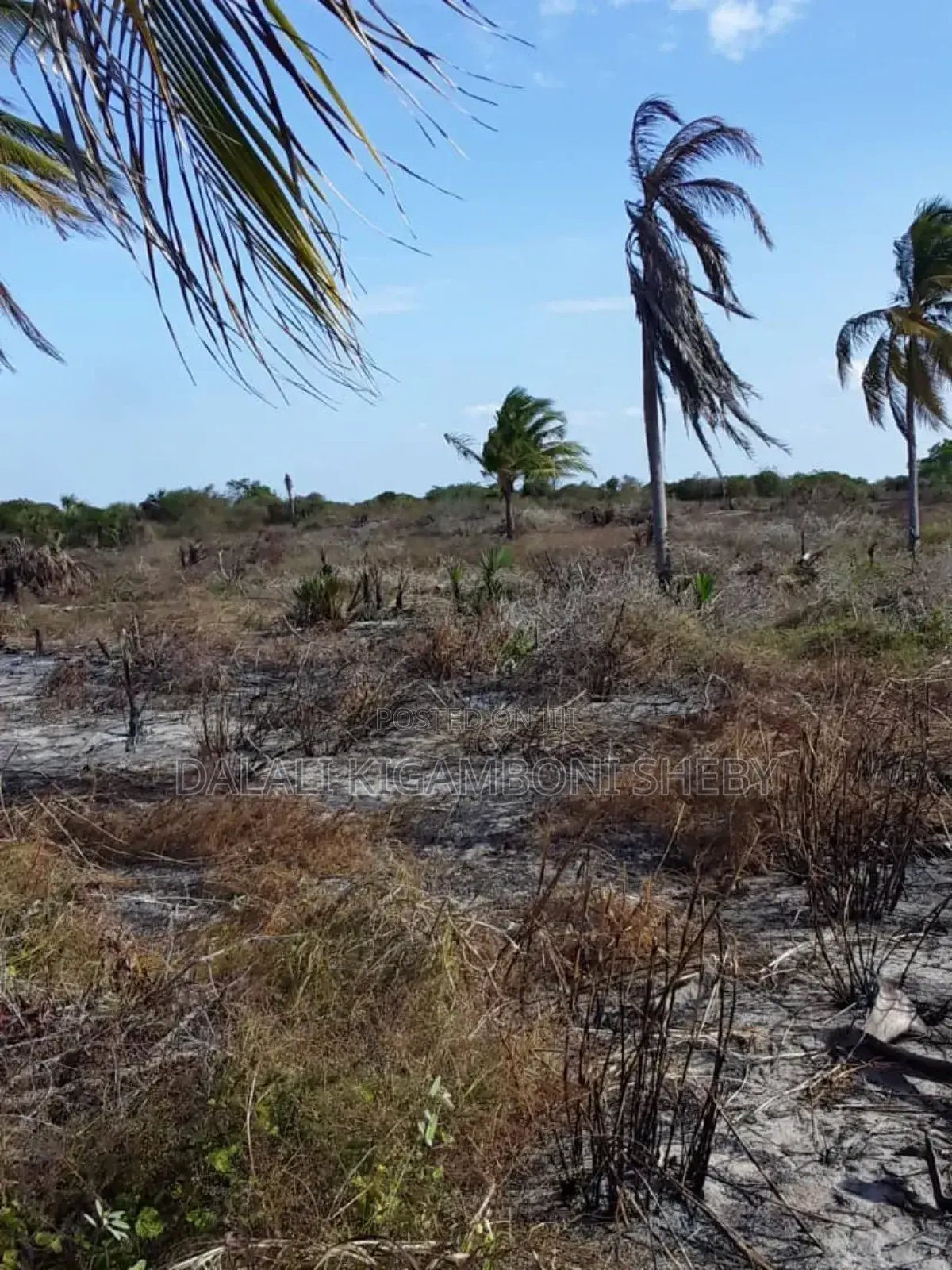 Beach Plot for Sale Location Rufiji