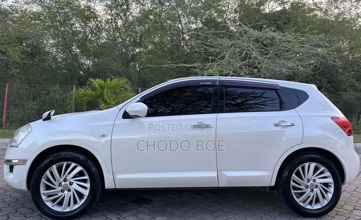 Nissan Dualis 2010 Pearl