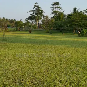 Plot/Property for Investing in Mapinga