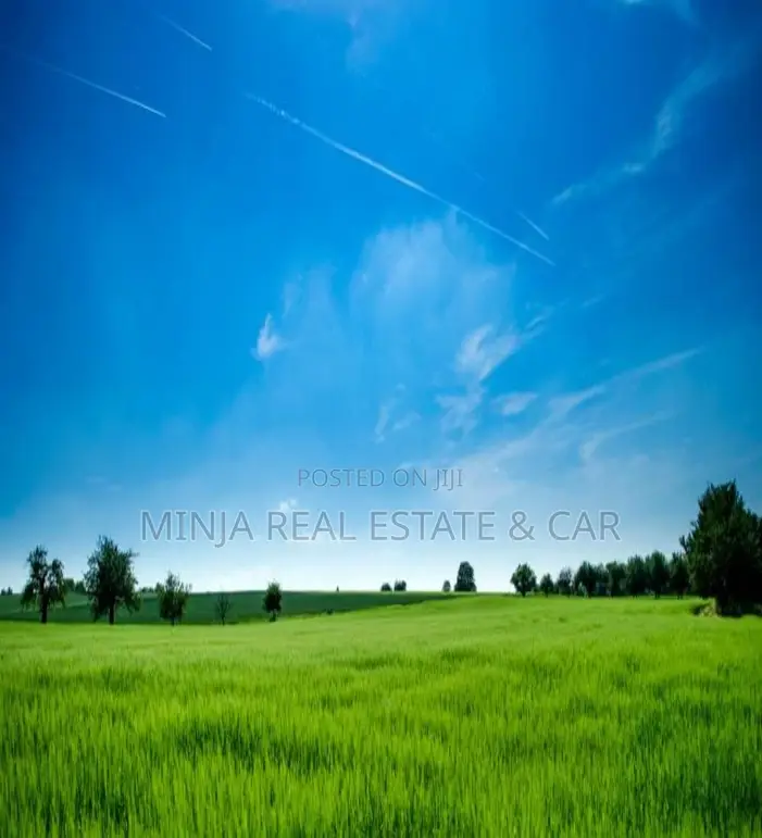 Plot/Property for Investing in Mapinga