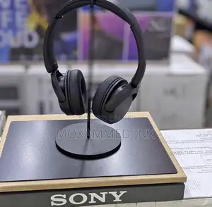 Wh - Ch 520 Sony Headphones