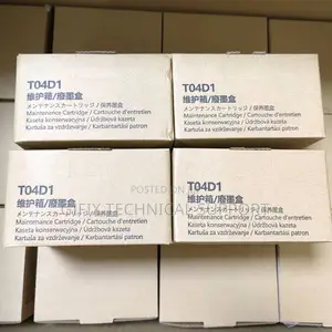 Epson Maintenance Box T-04d1