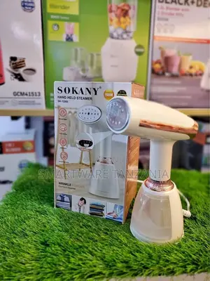 Powerful Fast-heating Handheld Garment And Clothes Steamer