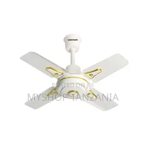 Goodvision G6 24-Inch Indoor Ceiling Fan