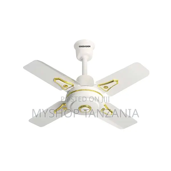 Goodvision G6 24-Inch Indoor Ceiling Fan