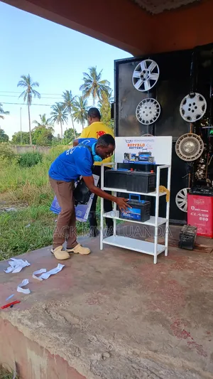 Buffalo Car Solar Batteries but Brand Like Elephant,