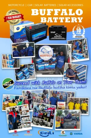 Buffalo Car Solar Batteries but Brand Like Elephant,