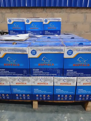 Buffalo Car Solar Batteries but Brand Like Elephant,