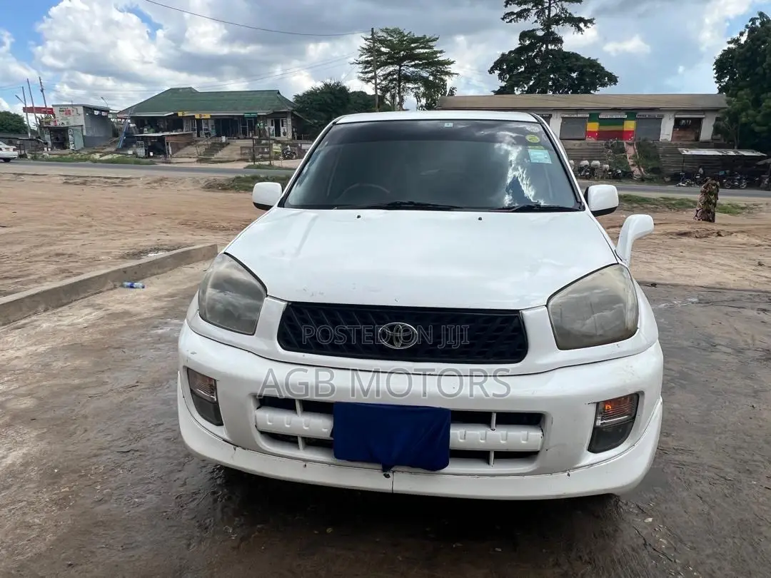 Toyota RAV4 2005 Silver