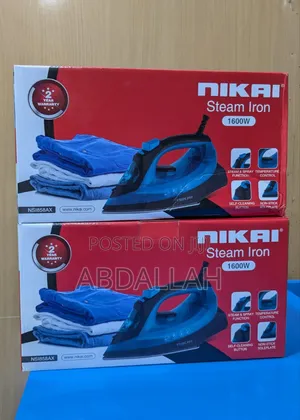Steam Iron