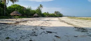 White Sand Beach Front Land for Sale in Zanzibar, Jambiani