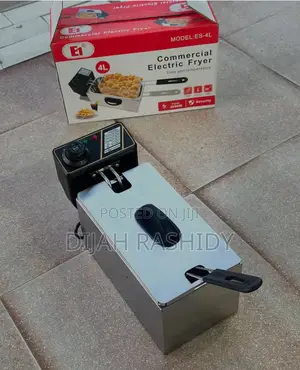 Single Electric Deep Fryer