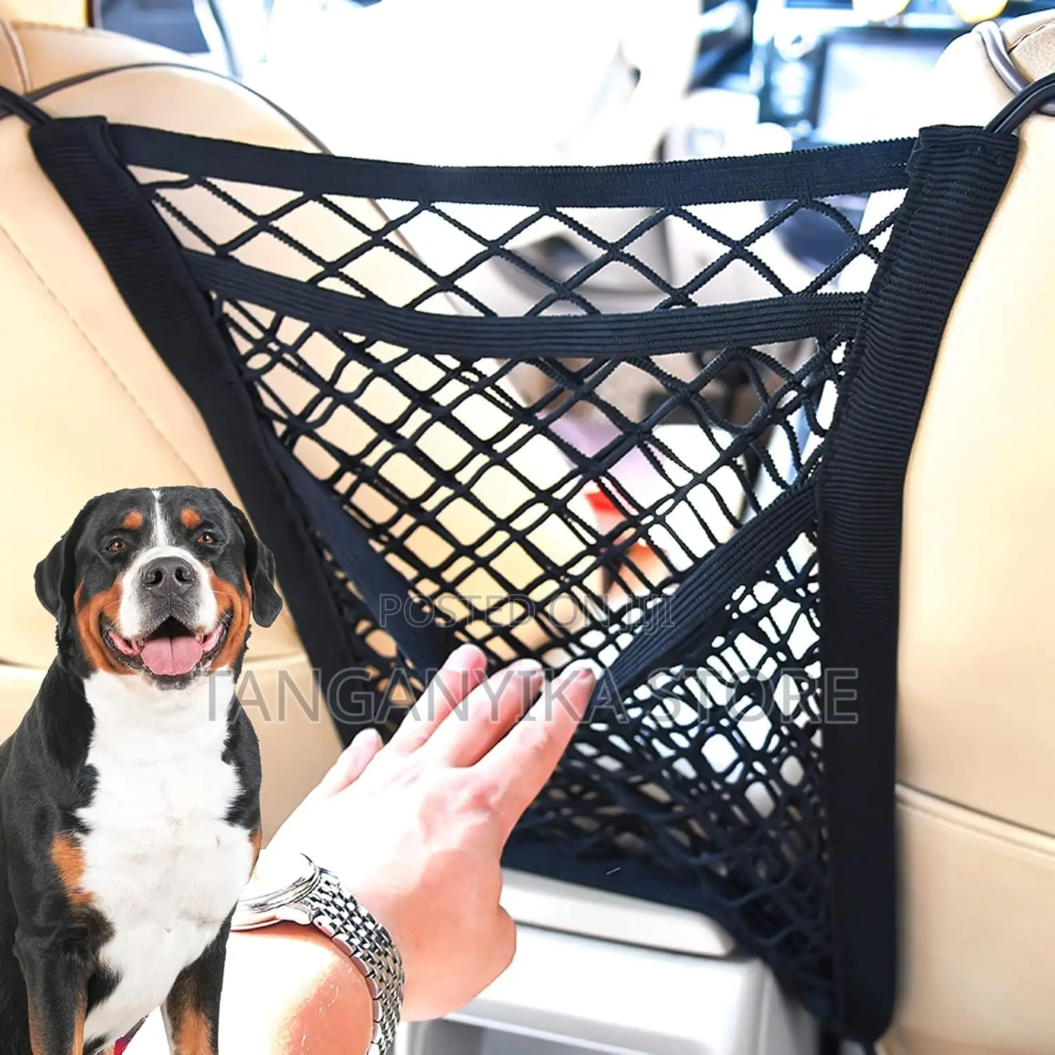 Car Net Barrier