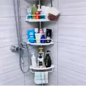 Corner Shower Stand