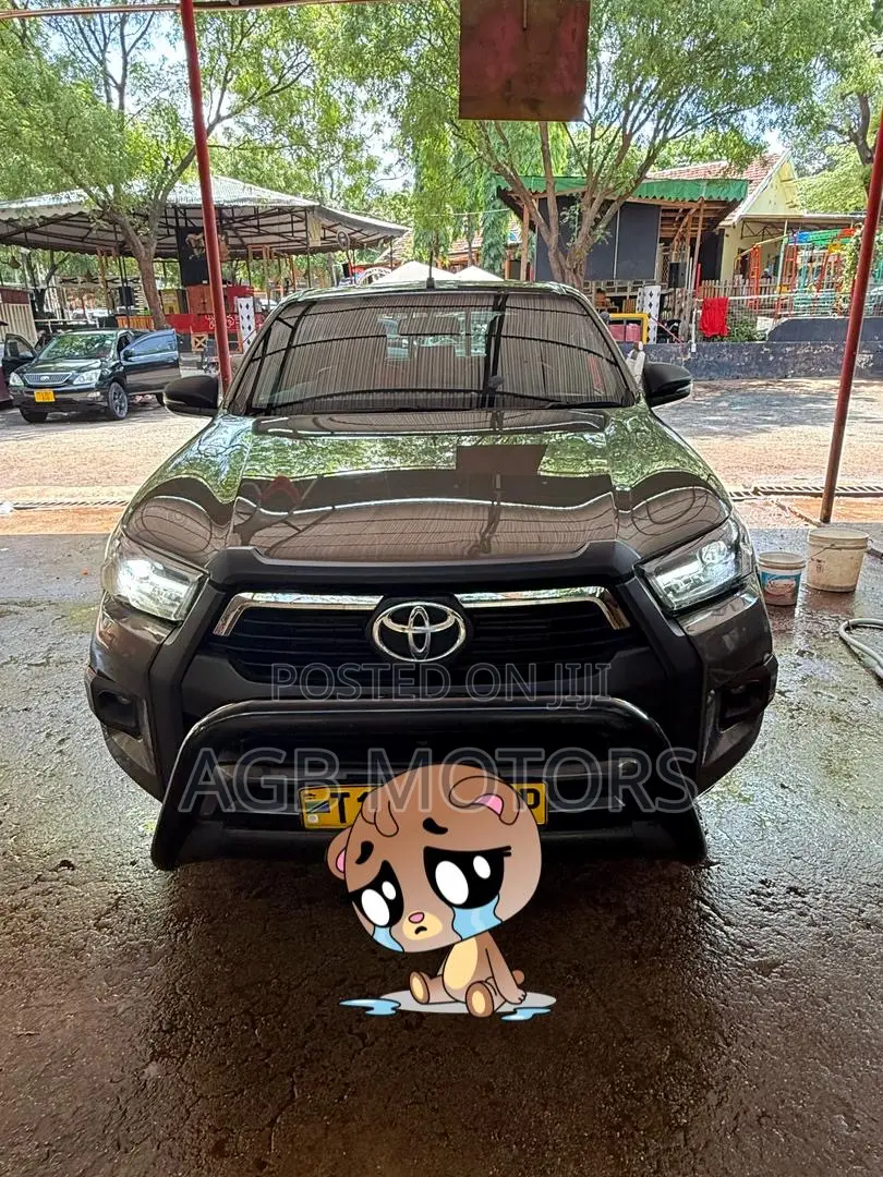 Toyota Hilux 2024 Brown
