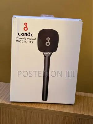 Interview Wireless Microphone