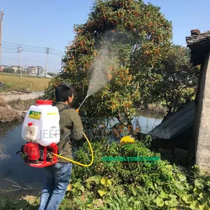 Dust Sprayer 4strock Engine