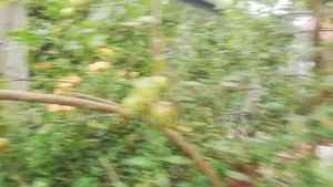 4bdrm House in Masaki for sale