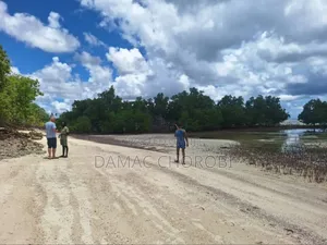 Beach for Sale Mafia