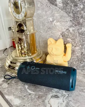 Wking D320 Portable Speaker