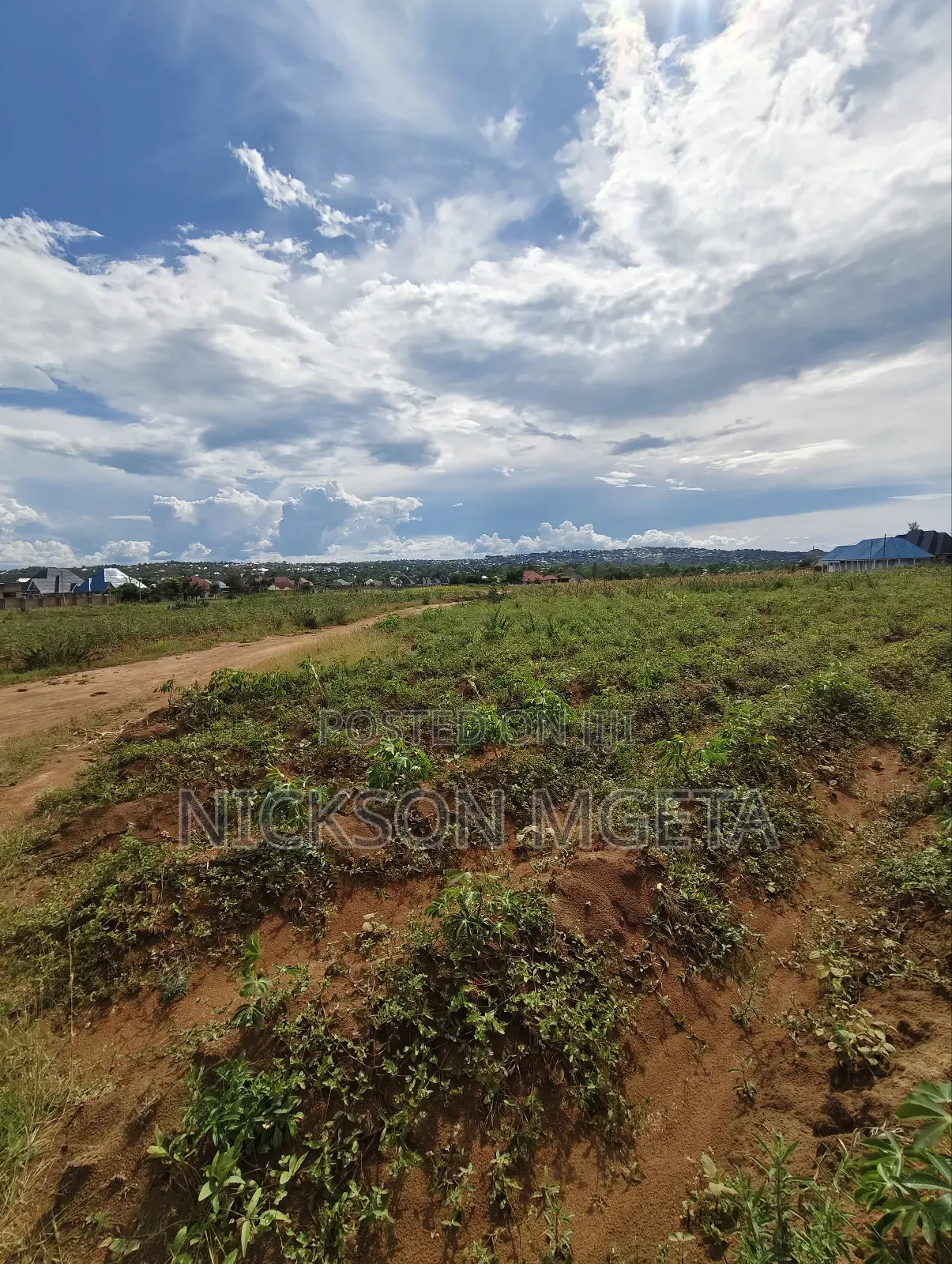 Plot for Sale