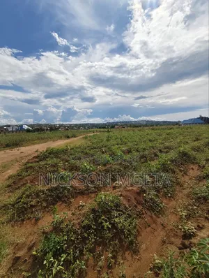 Plot for Sale