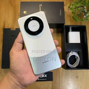 New Huawei Mate 60 Pro 512 GB Silver