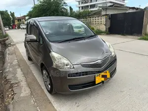 Toyota Ractis 2010 Gray