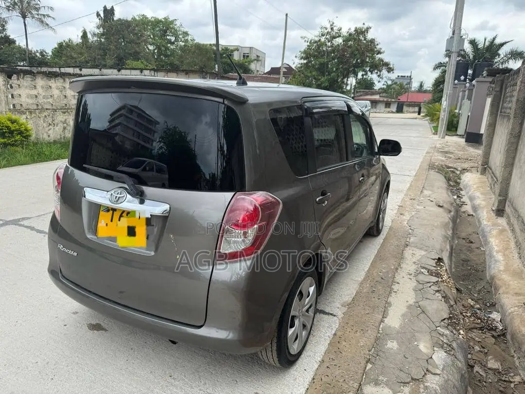Toyota Ractis 2010 Gray