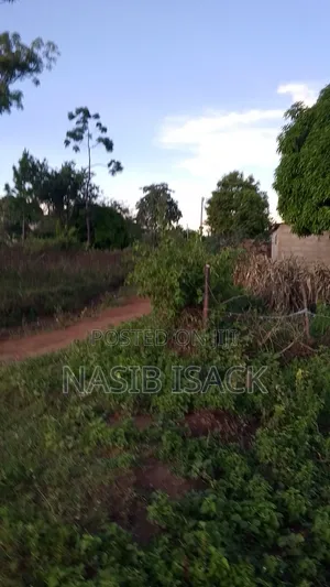 Plot for Sale