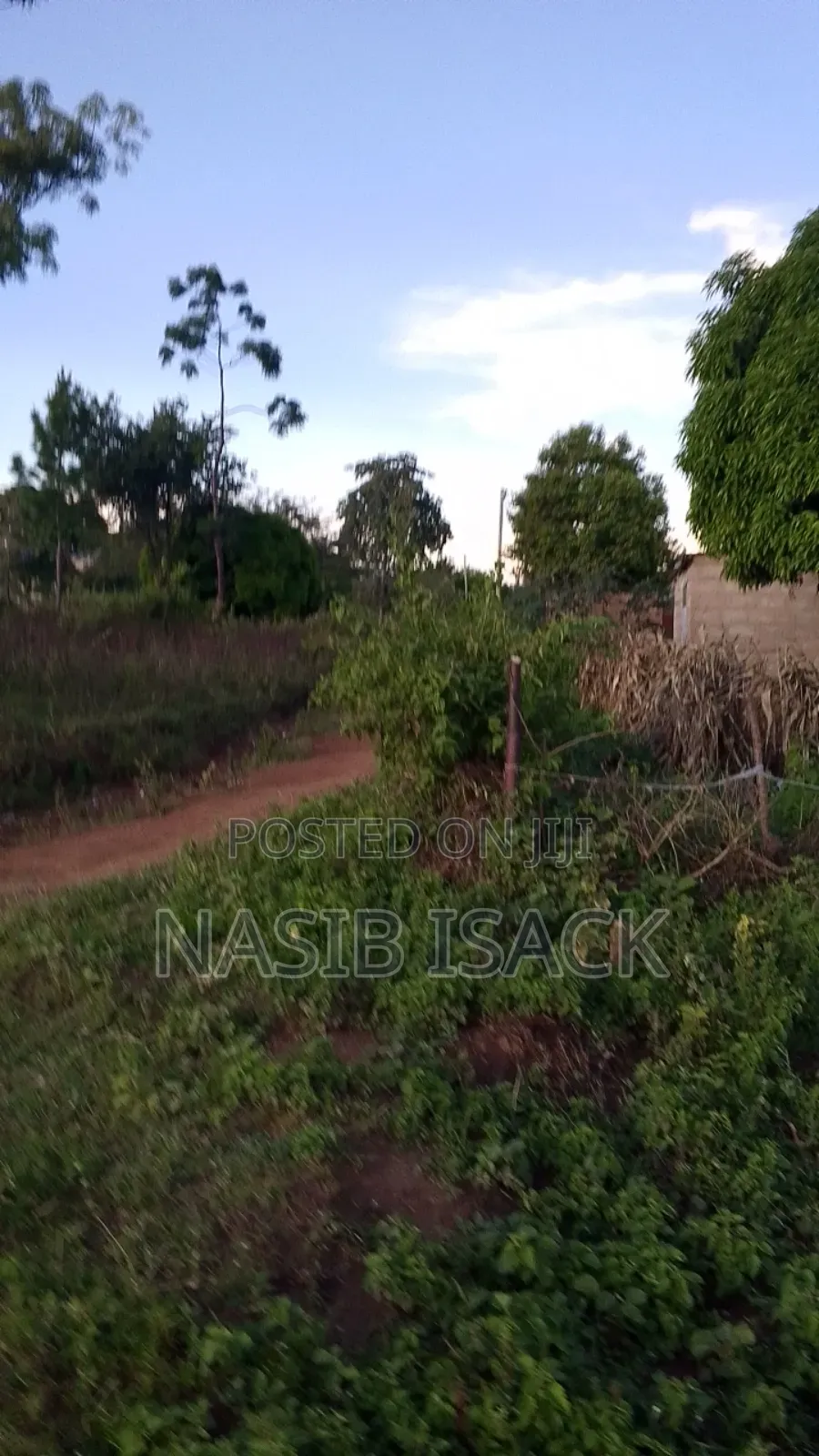 Plot for Sale