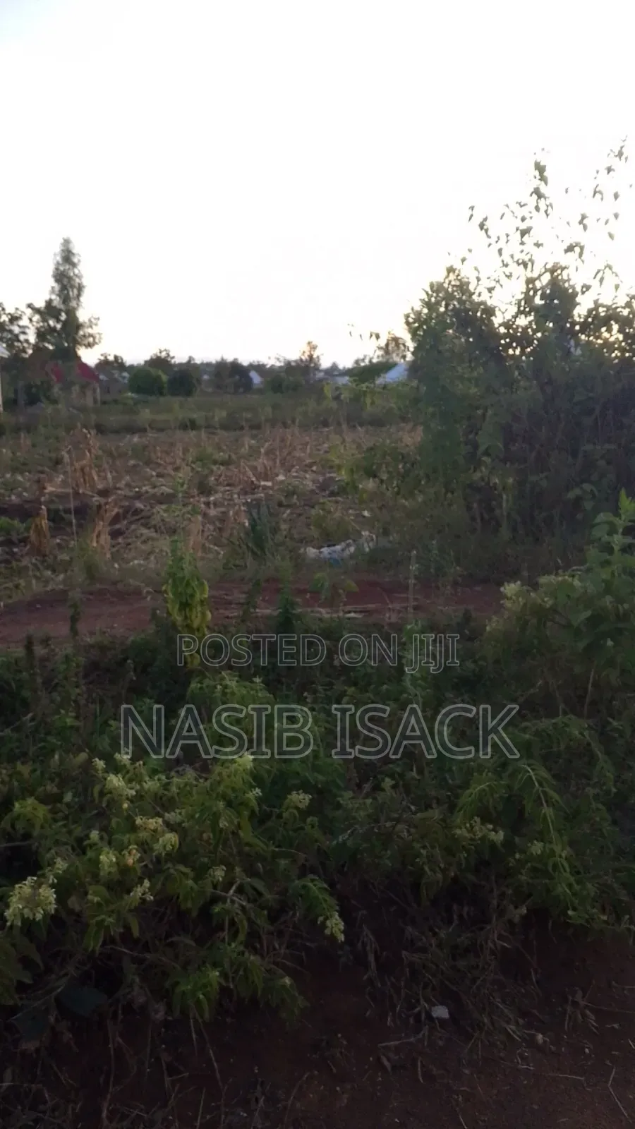 Plot for Sale
