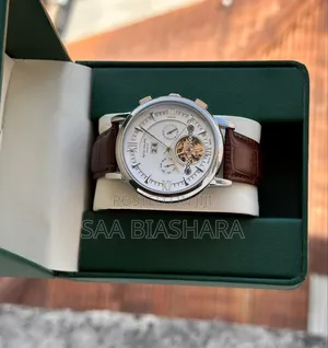 Patek Phillipe Tourbillon5207 (Automatic) Br/Silver