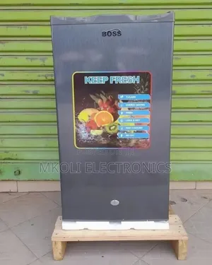 Boss Fridge Ndogo ( Single Door)