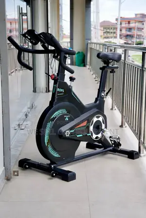Heavy Duty Spinning Bike for Gym and Home