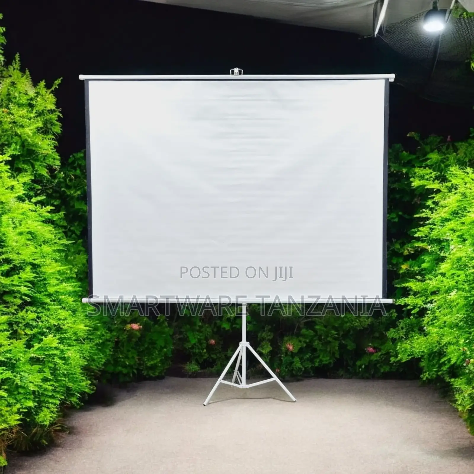 Portable Projector Screen Tripod Stand - Projection Screen