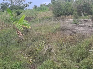 Shamba Linauzwa Kiwangwa Bagamoyo Pwani