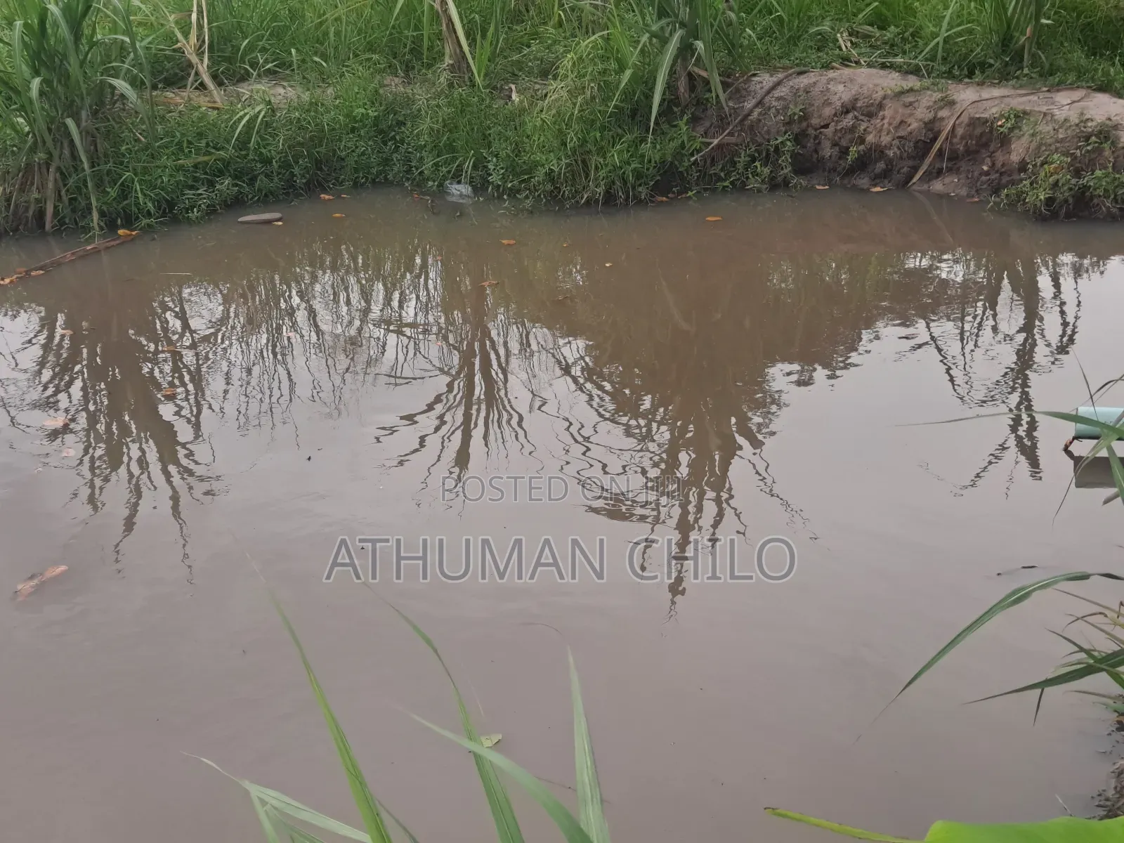 Shamba Linauzwa Kiwangwa Bagamoyo Pwani