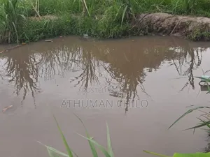 Shamba Linauzwa Kiwangwa Bagamoyo Pwani