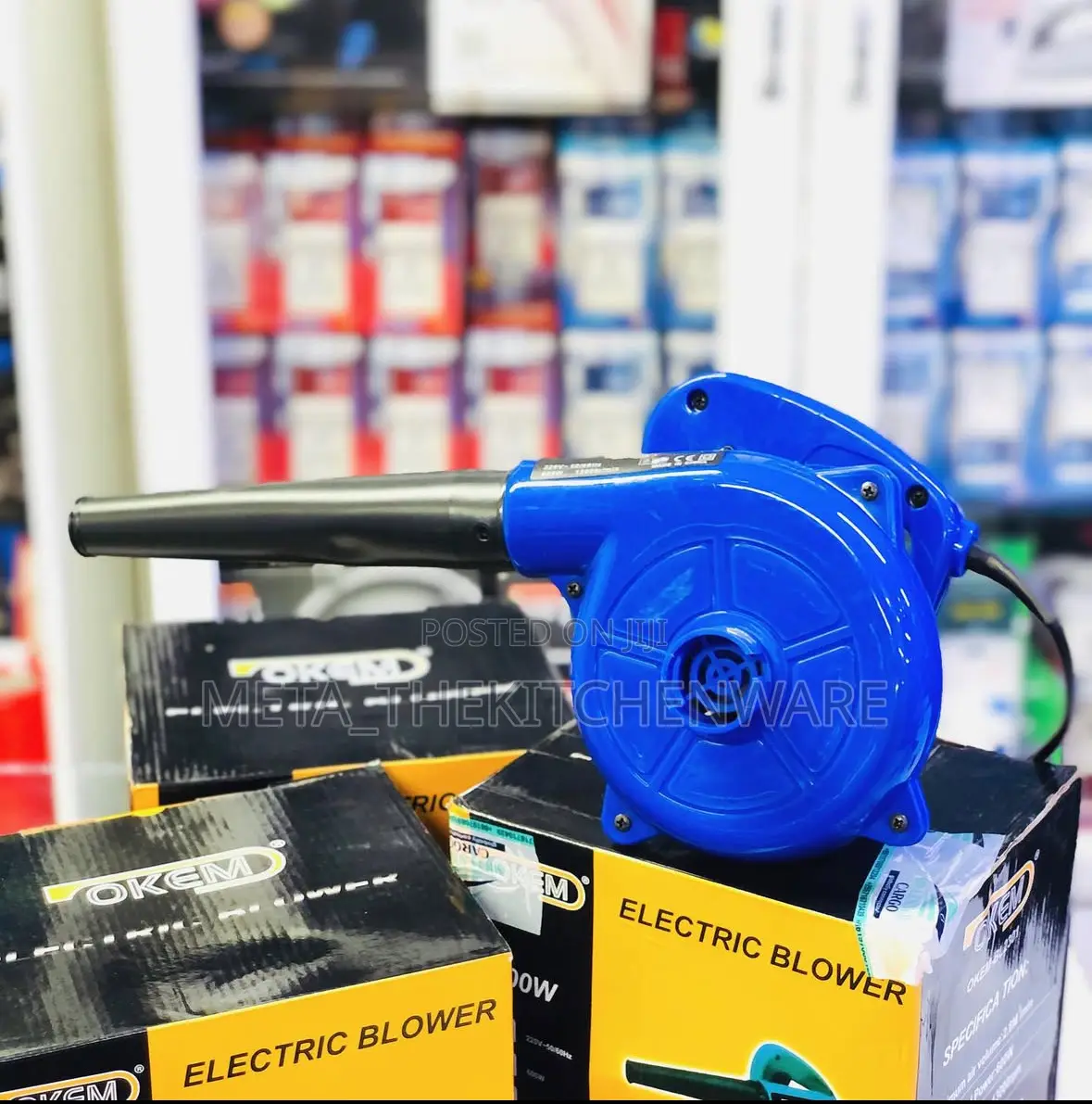 Okem Electric Blower 600w Model Bl2301