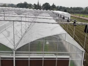 Greenhouse Film (Poly Cover)