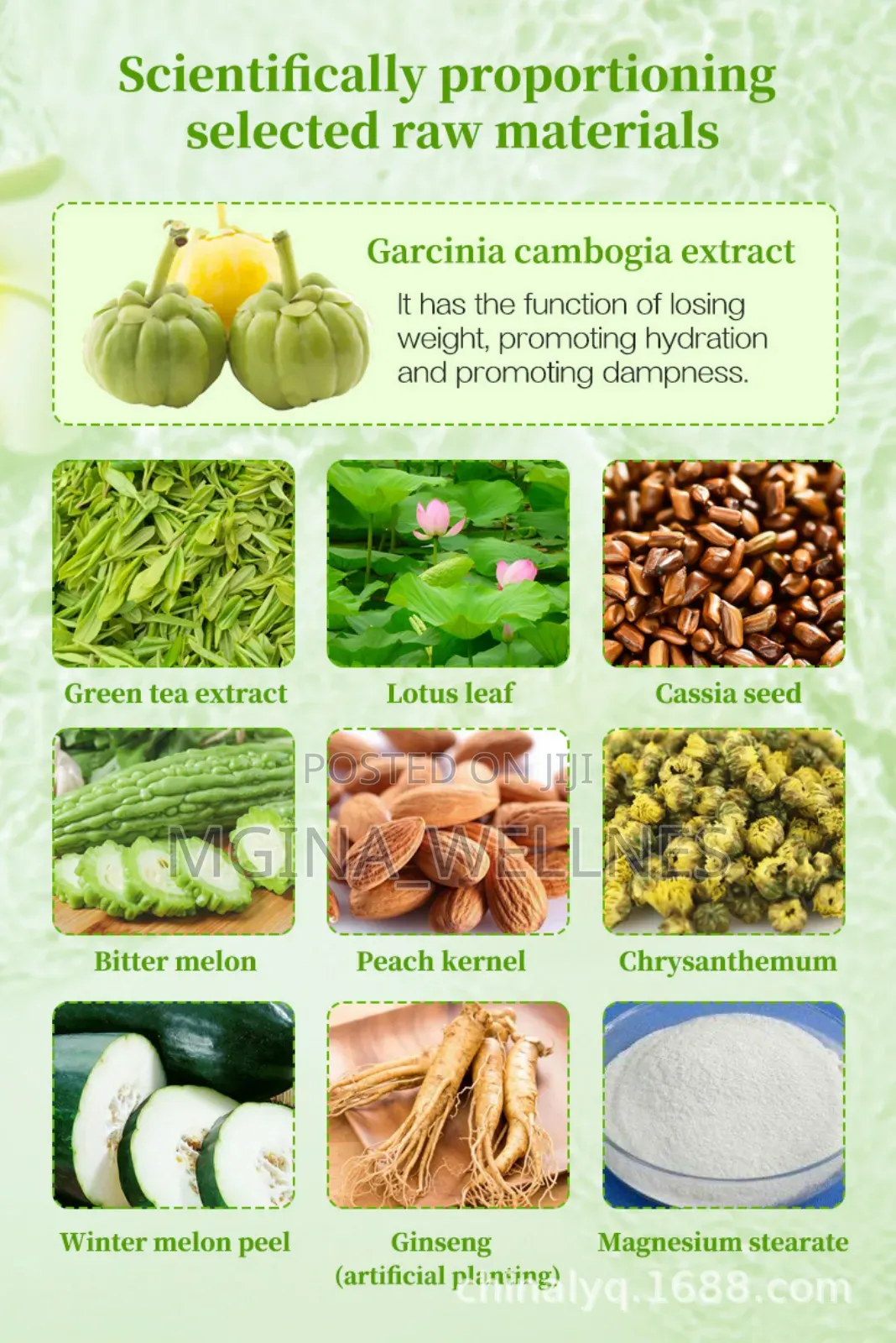 Flat Tummy Garcinia Cambodia Tablet for Weight Loss