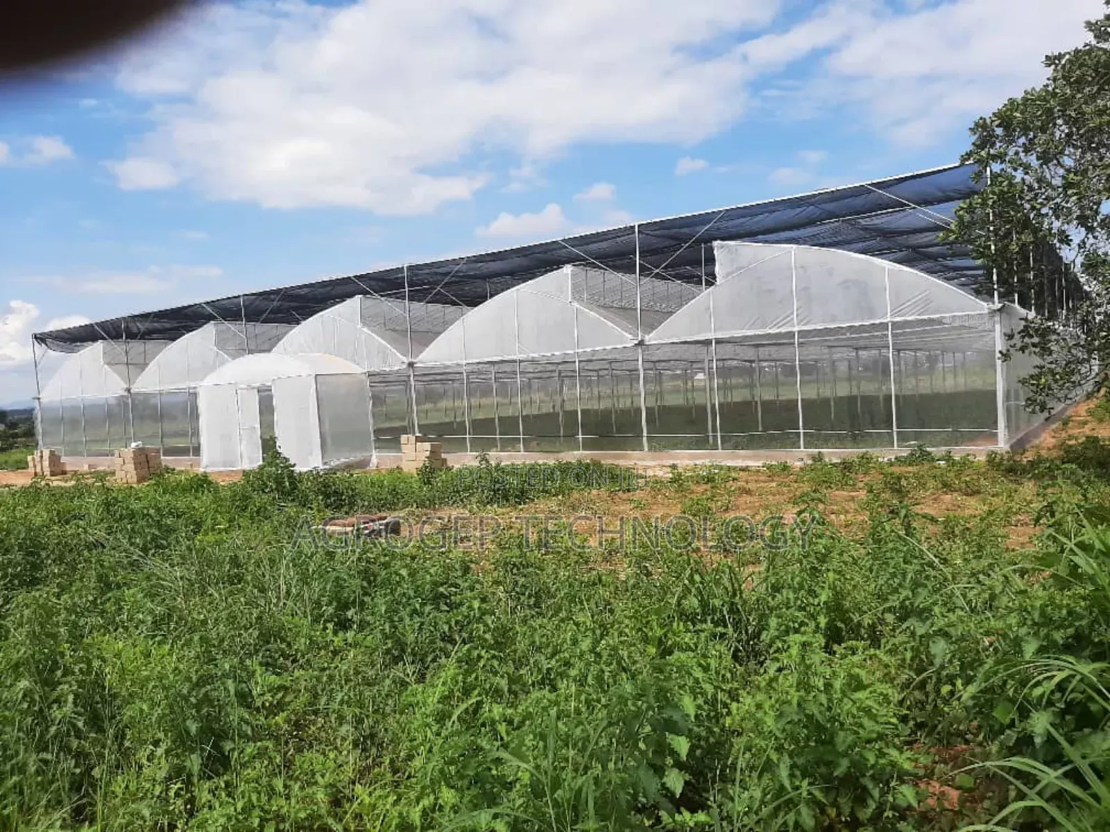 Greenhouse Structure