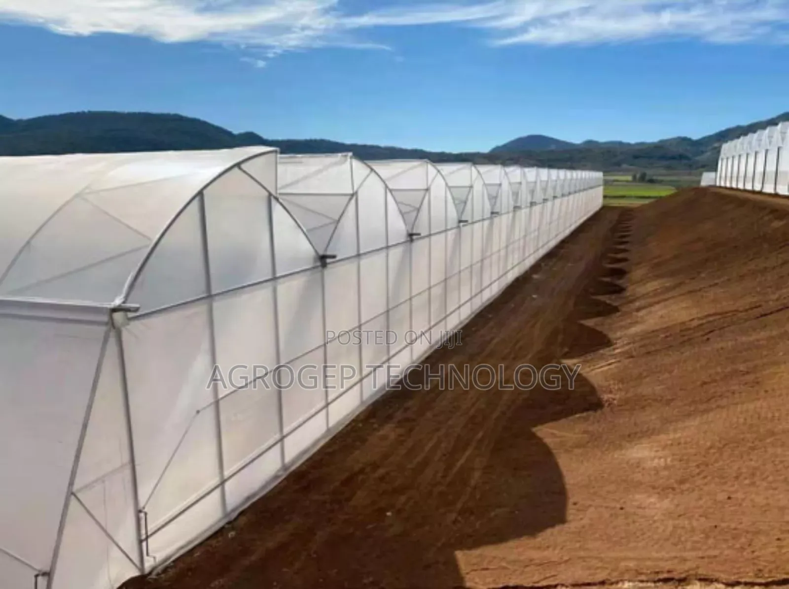 Greenhouse Structure