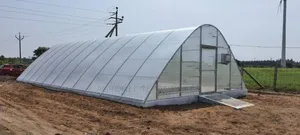 Hybrid Solar Dryer